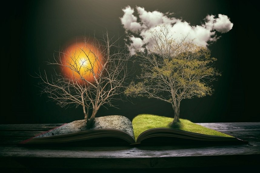 Вебинар "Книга Жизни как методика помощи ребёнку" Вебинар "Книга Жизни как методика помощи ребёнку"