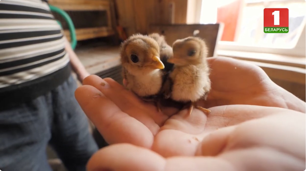 Стать родителями для 47 детей