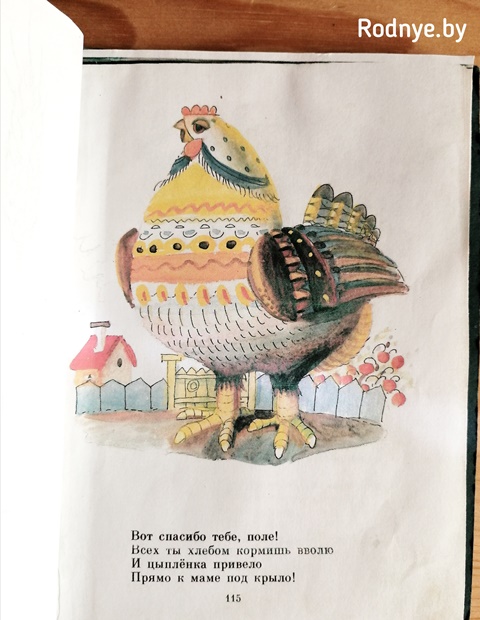 Цыплёнок и поле