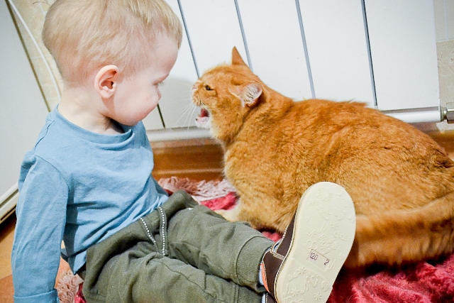 Маленький хозяин большого кота