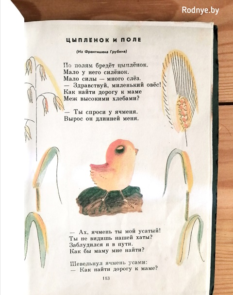 Цыплёнок и поле